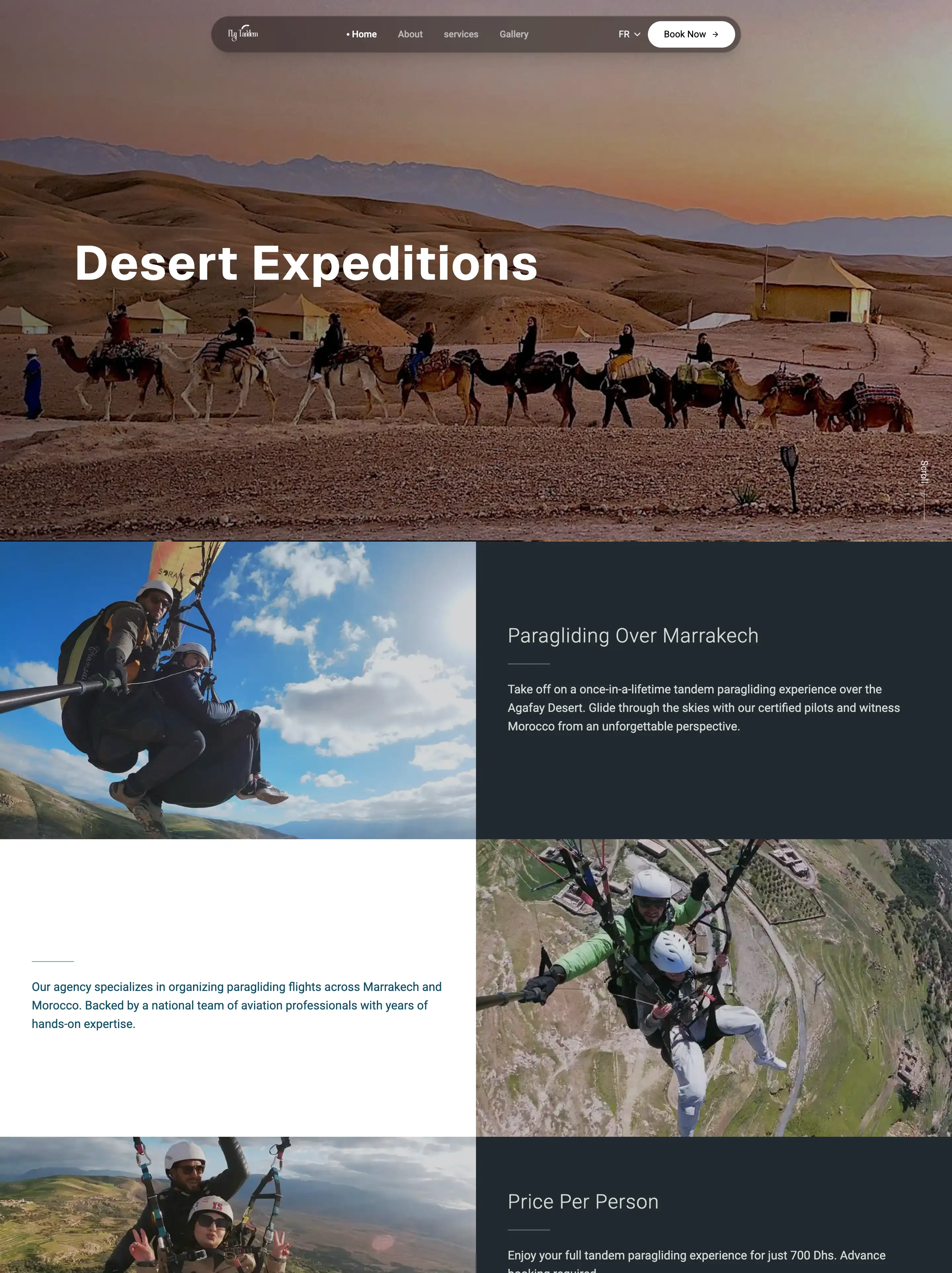 Flying Tandem full screenshot